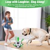 Interactive Dog Toys, Dog Soccer Ball with Straps, Active Rolling
