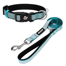 azuza Reflective Dog Collar and Leash Set, Padded Collar with Matching Leash for Medium Dogs