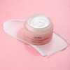 Antioxidant Facial Cream with Light Texture, Deep Moisturises, Revitalises and