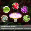 HONORSEN LED Grow Lights for Indoor Plants, Full Spectrum Plant