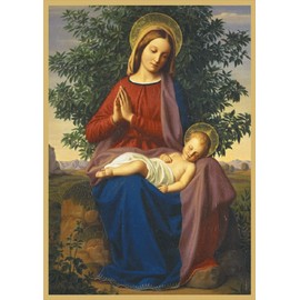 Caspari The Madonna And Child Small Boxed Christmas Cards - 16 Cards & Envelopes(102101)