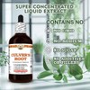Culver's Root (Veronicastrum Virginicum) Dry Root Tincture, Made in Hawaii,