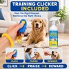 LARICEO Dog Training Area Support Spray for Rugs and Furniture,