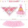 SCENEREAL Dog Birthday Bandana Hat with Dress Girl Set Party