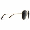 WMP Eyewear Maxwell | Polarized Sunglasses - Gold Frame/Black Lens