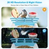 Bird Feeder with Camera, Smart Bird Feeder with Solar Panel,