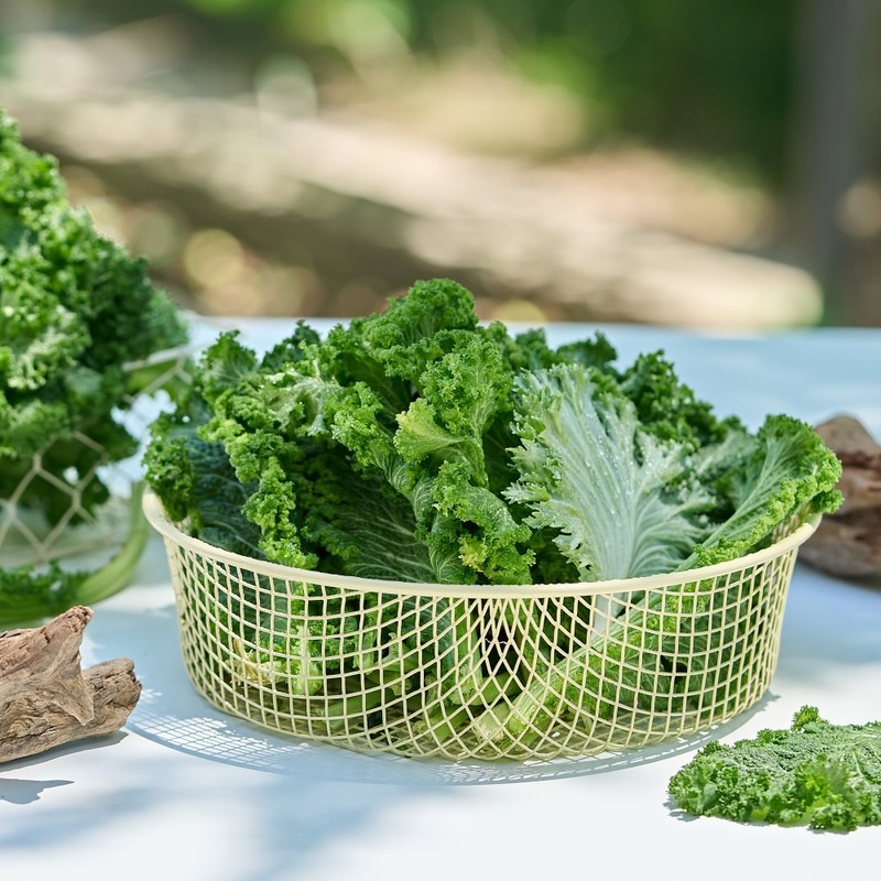 Paleo Cleanse Organic Curly Kale 100 Curly Kale Freeze-Dried Powder