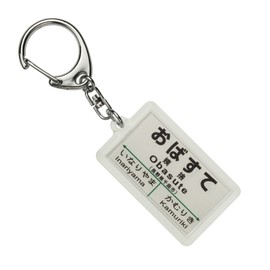 JR Higashi Template: shinonoi Line "obasute" Key Holder Train Goods