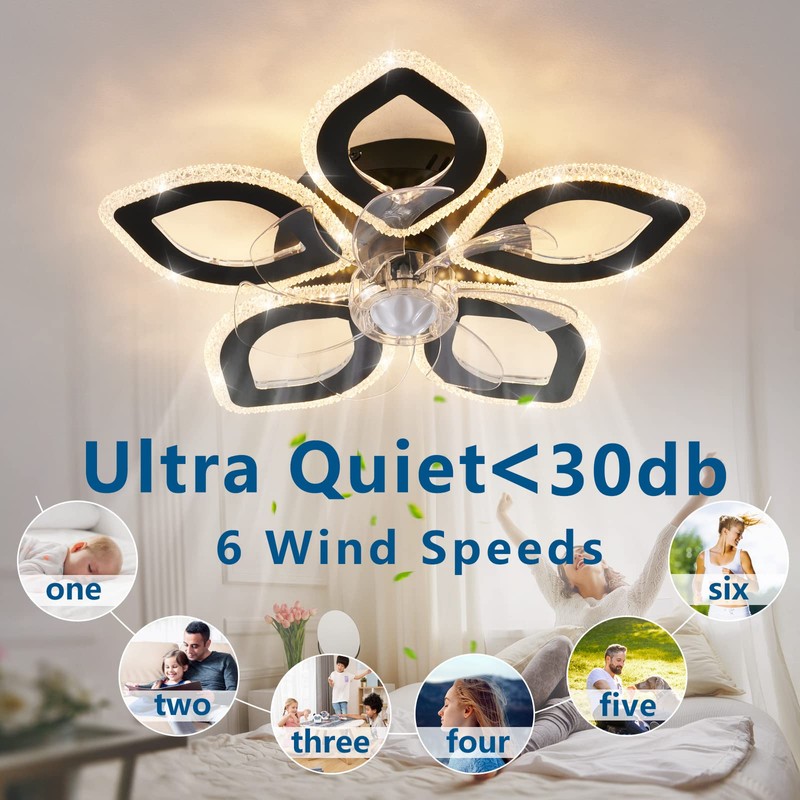 Dalouguan 21-Inch Ceiling Fan with Lights and Remote Control, Black