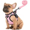 FAYOGOO Service Dog Vest for Small Breed - Lightweight Dog