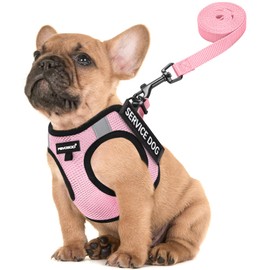 FAYOGOO Service Dog Vest for Small Breed - Lightweight Dog Harness with 6PCS Removable Patches - Puppy Harness and Leash Set for Walking,Training