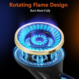 BesNerg 2 Burner Propane Stove Two burner, Portable Stainless Steel Auto Ignition Gas Cooktop, Included Gas Pressure Regulator, Suitable for Outdoor/Camping(Silver)