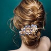 NYKKOLA Women's Multilayered Peacock Shaped Rhinestone French Barrette Hair Clip