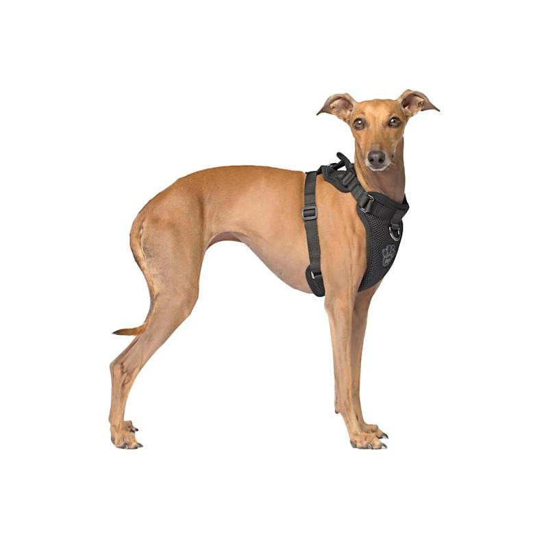 Canada Pooch Everything Dog Harness Black Mesh X-Large