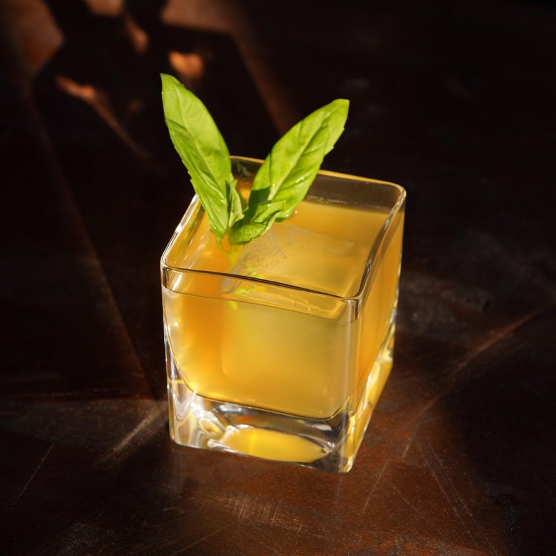 Viski Braque Rocks Short Glass Set - Old Fashioned Glass