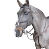 John Whitaker Ready to Ride Martingale Full Size Havana