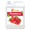 BOBA2U CONCENTRATED SYRUP STRAWBERRY 5.5 LBS