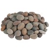 VINICS Large River Rocks for Landscaping 20lbs, 2-3 Inch Natural