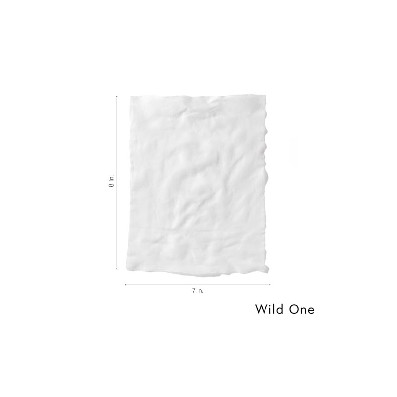 Wild One Wild One, Eucalyptus Natural Dog Grooming Wipes, Cruelty-free,