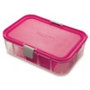 PackIt Flex Bento Food Storage Container, Ripe Raspberry, Shatterproof Crystal