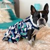 Parisian Pet Palm Leaves Summer Dress - Magic Strap Closure