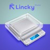 Báscula Digital de Precisión Lincky 0.1g a 500g, Balanza Electrónica