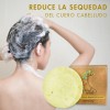 Shampoo Solido Reestructura 50gr Argán Jojoba Fortalece