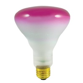Bulbrite Incandescent BR30 Medium Screw Base (E26) Light Bulb, 75 Watt, Pink