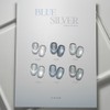 From the Nail Blue Silver 6 types of individual magnetic