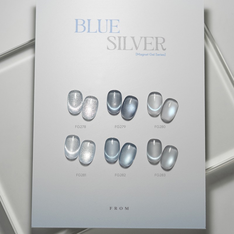 From the Nail Blue Silver 6 types of individual magnetic