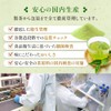 Matsuda-en Instant Hojicha SS Commercial Instant Tea Powder, Tea Powder,