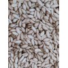 Unbranded 50 SEMILLAS DE PIPIAN CRIOLLO SALVADOREÑO