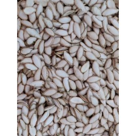 Unbranded 50 SEMILLAS DE PIPIAN CRIOLLO SALVADOREÑO