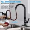 Matte Black Kitchen Sink Faucet with Pull Down Sprayer, Single