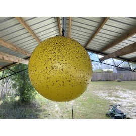 Gnat Ball 4 Pack Starter Complete kit - Gnats, House Fly, No-See-Um, Aphids whiteflies, and Love Bug Trap