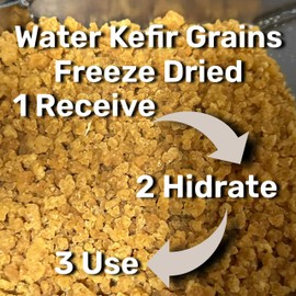 Dehydrated Starter Water Kefir Grains Fermented Probiotic Drink Powder for Stronger Gut Health | Heirloom Starter Makes Limitless Supply | Non-GMO Dairy Free Vegan Sparkling Water with Enzymes