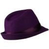 Ashen Fane Wool Fedora with Pleated Satin Band, Purple OSFM