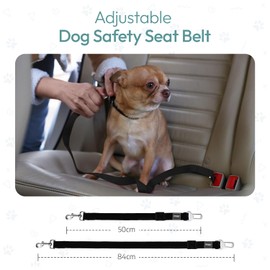 Adjustable Car Seat Belt for Pets - Dog & Cat Safety Lead (SMALL) (BLACK & BLACK 2-PACK)