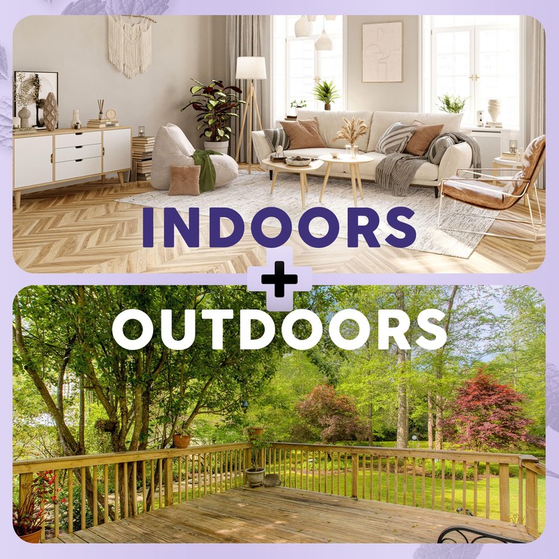 Mint+ Insect and Pest Control Spray, Residue-Free Bug Killer for