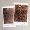 Tonico Vittale Crema Para Peinar Cabello Reparador Sellador Tonico Vittale