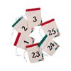 Iron-On Countdown Numbers - 25 Pieces