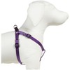 Guardian Gear 2 Step Pet Harness Sparkling