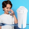 Genérico - Paquete de 4 Filtros de repuesto para purificadores