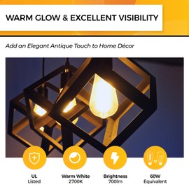 Hizashi Dimmable Edison Bulbs 60 Watt LED, E26 Bulb 2700K Warm White ST19 Vintage Light Bulbs, 95+CRI, UL Listed,700LM 6W E26 Medium Base, Clear Glass, Pack of 4