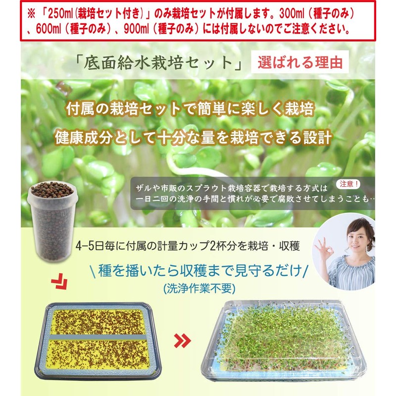 Broccoli Sprout Seeds, 20.1 fl oz (600 ml) (Seeds Only),