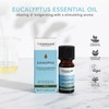 Tisserand Aromatherapy | Eucalyptus Ethically Harvested Essential Oil | 100%