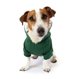 DJANGO Dog Hoodie and Super Soft and Stretchy Sweater – Fully Lined with Elastic Waistband, Leash Portal, and Back Pocket… (Forest Green, Medium)