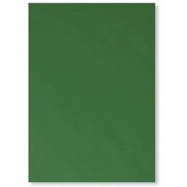 Dark Green Coloured Card, 300GSM, Perfect for DIY-Homemade Projects, Arts, Crafts, Card Designing and Decorating - Fully Recyclable - Pack of 12 (A4 (210 x 297 mm))