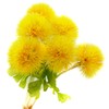 Riverbyland Artificial Flowers Yellow Dandelion 6 pcs