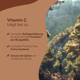 TRUE NATURE Pine Bark Extract Capsules High Dose - 660mg for 180 Days - Pine Bark Extract with OPC + Natural Vitamin C - Premium: French Maritime Pine - No Additives - TRUE NATURE?